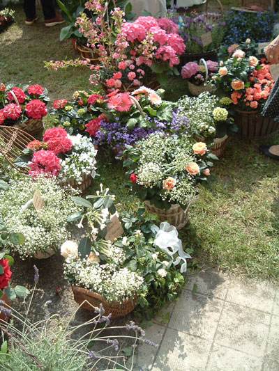 DSCF7271-2011